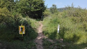 fcimolise2016 xc sessano del molise