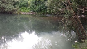 20160608_162405