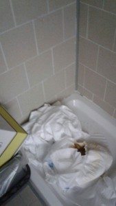 received_10210085164556600