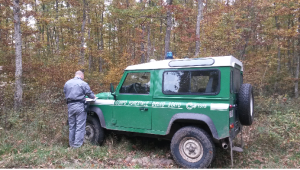 corpo forestale stato