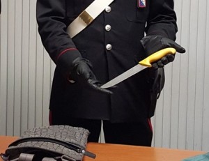 foto coltello cucina