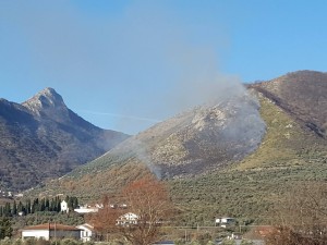 incendio venafro 2