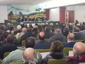 received_1753144215005172