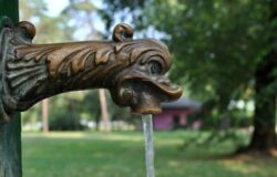 Campobasso, acqua potabile, parametri, ordinanza, sindaca Forte