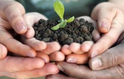 progetto agricoltura sociale