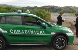 carabinieri forestali