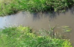 Torrente RAVA Venafro