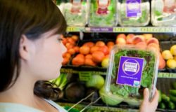 etichettatura agroalimentare