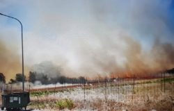 incendio campomarino