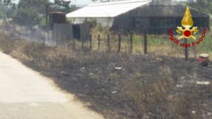 incendio serra campomarino