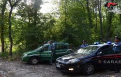 Carabinieri Forestale