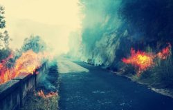 incendio vallecupa ceppagna