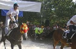 palio delle quercigliole