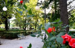 serate d'agosto campobasso