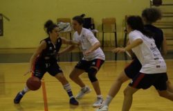 Basket Magnolia Campobasso
