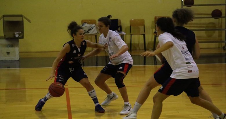 Basket Magnolia Campobasso