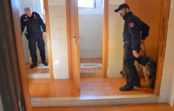 carabinieri scuola droga