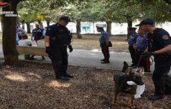 nox in azione marijuana