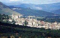 Venafro Parco dell'Olivo