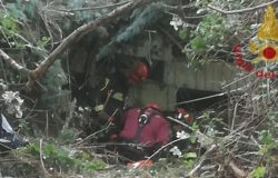 cucciolo fiume isernia