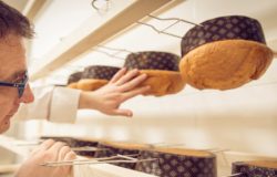 gerry labbate - panettone mela zitella