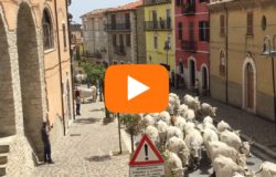 news del molise 09 novembre 2017