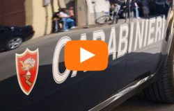 news del molise 18 novembre 2017