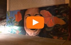news del molise 19 novembre 2017