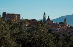 parco dell'olivo di venafro