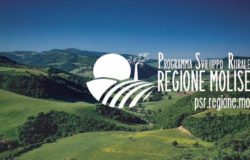 psr molise 2014-2020