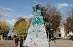Guglionesi albero natale bottiglie di plastica