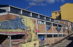 bando delle periferie campobasso