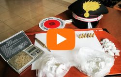 news del molise 12 dicembre 2017