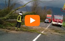 news del molise 16 dicembre 2017