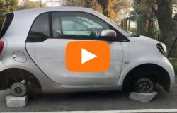 news del molise 20 dicembre 2017