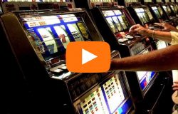 news del molise 8 dicembre 2017
