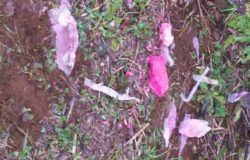 esche avvelenate venafro