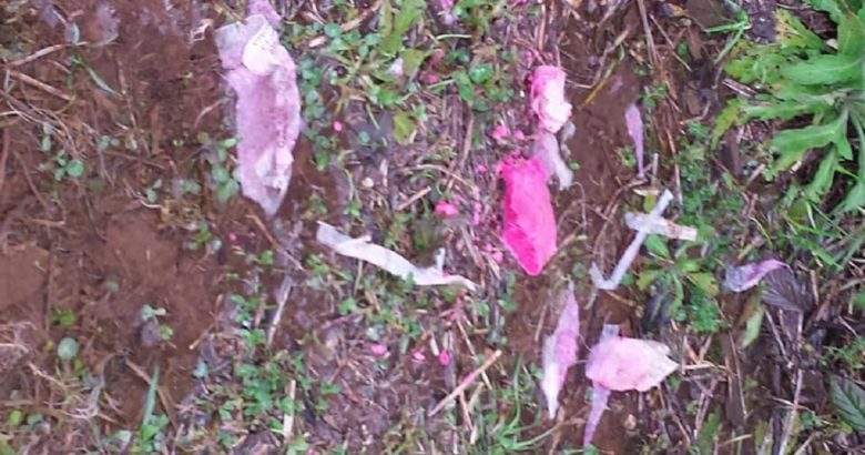 esche avvelenate venafro