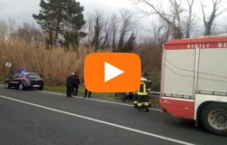 news del molise 25 marzo 2018