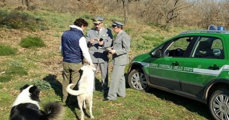 forestali multa cavatore