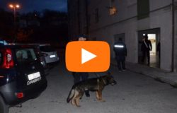 news del molise 18 aprile 2018