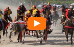 news del molise 29 aprile 2018