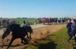 tragedia carrese chieuti muore molisano