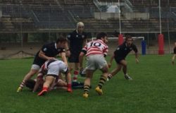 CNU Molise rugby
