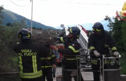 Vigili del Fuoco salvano piccoli uccellini di gazza ladra