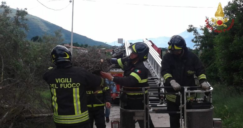 Vigili del Fuoco salvano piccoli uccellini di gazza ladra