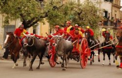 carrese san martino in pensilis