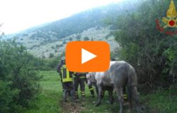 news del molise 10 maggio 2018