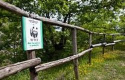 riserva oasi guardiaregia campochiaro