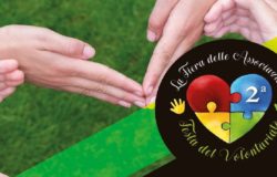 Festa Reguonale del volontariato Isernia